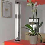 Sea House Afrodita1-rooms بيت ضيافة